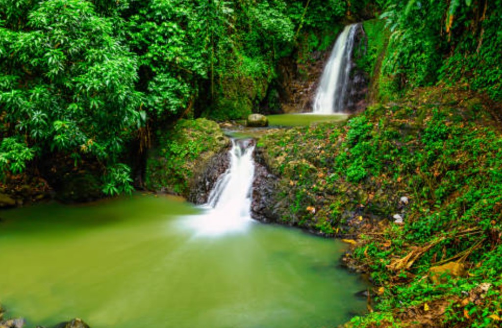 Tiered rainforest waterfall and green pool in Grenada's interior
